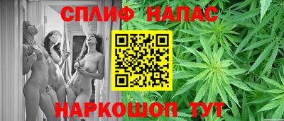 сатива Бузулук