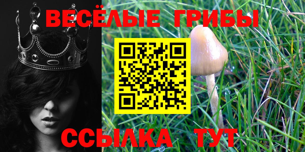 Псилоцибиновые грибы Cubensis  Вход с VPN  Самара 